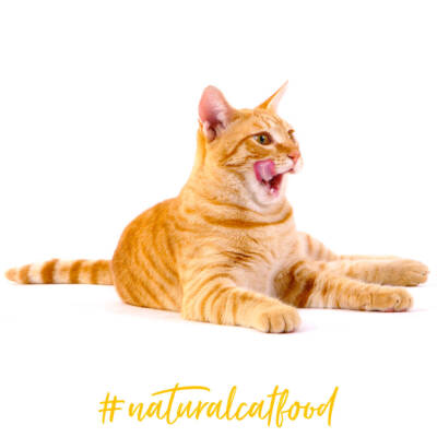 3coty #naturalcatfood