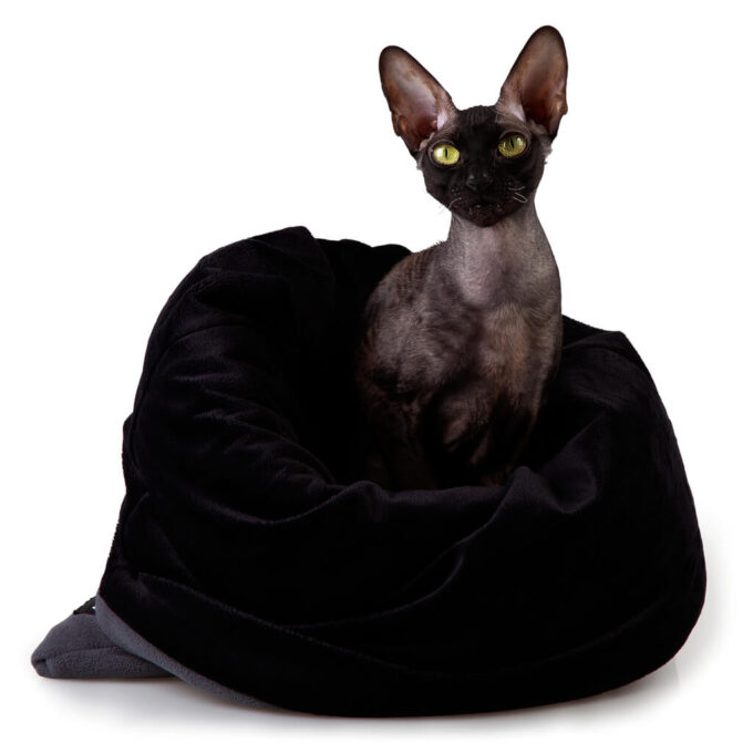 87.GB SNUG S - Image 3