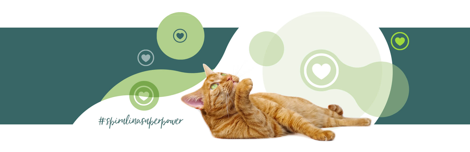 Desktop Banner