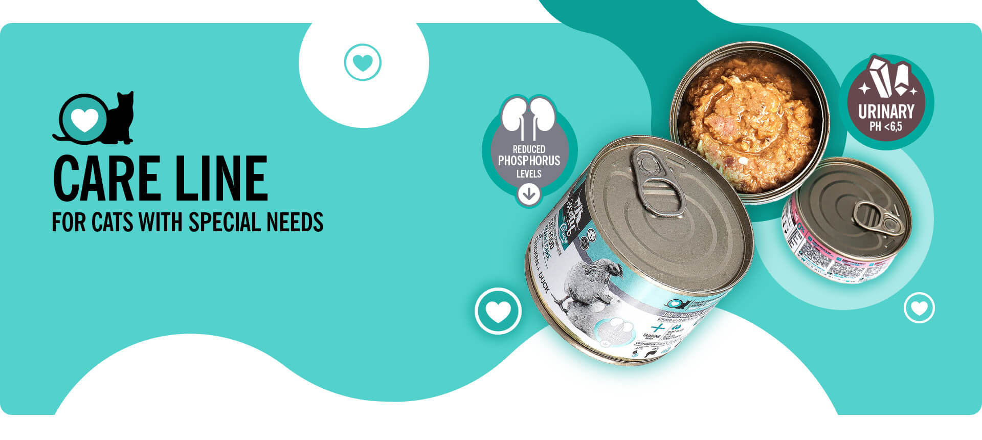 3coty-home-banner-EN-003