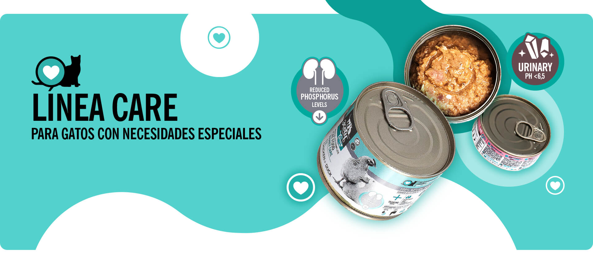3coty-home-banner-ES-003