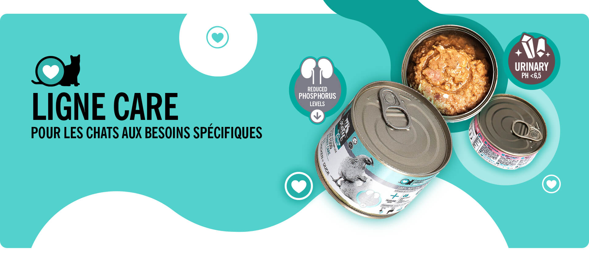 3coty-home-banner-FR-003