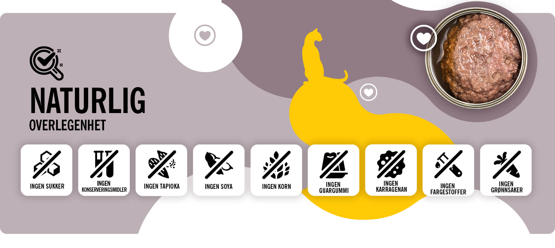 3coty-home-banner-NO-002