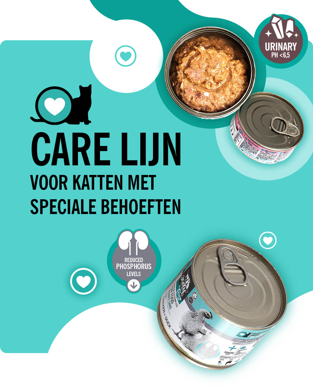 3coty-home-mbanner-NL-003